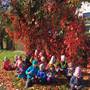 Šikulové - Hrajeme si a zkoumáme podzimní přírodu 2