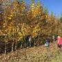 Šikulové - Hrajeme si a zkoumáme podzimní přírodu 10