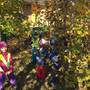 Šikulové - Hrajeme si a zkoumáme podzimní přírodu 5