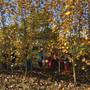Šikulové - Hrajeme si a zkoumáme podzimní přírodu 7