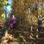 Šikulové - Hrajeme si a zkoumáme podzimní přírodu 9