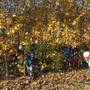 Šikulové - Hrajeme si a zkoumáme podzimní přírodu 11
